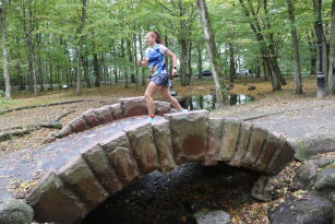 Сертификат 7